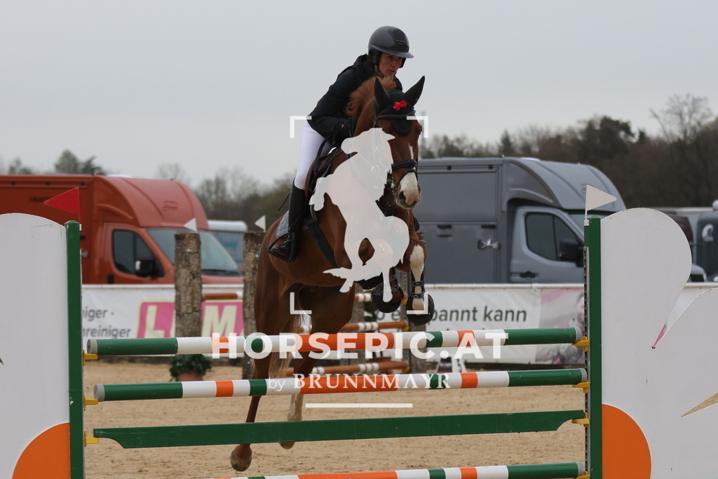 0P6A6644 | Willkommen bei Brunnmayr - Design & Fotografie – Ihrem Spezialisten für Reitturniere und Pferdeveranstaltungen in Oberösterreich, Salzburg und Bayern! Seit über 17 Jahren sind wir leidenschaftlich dabei.