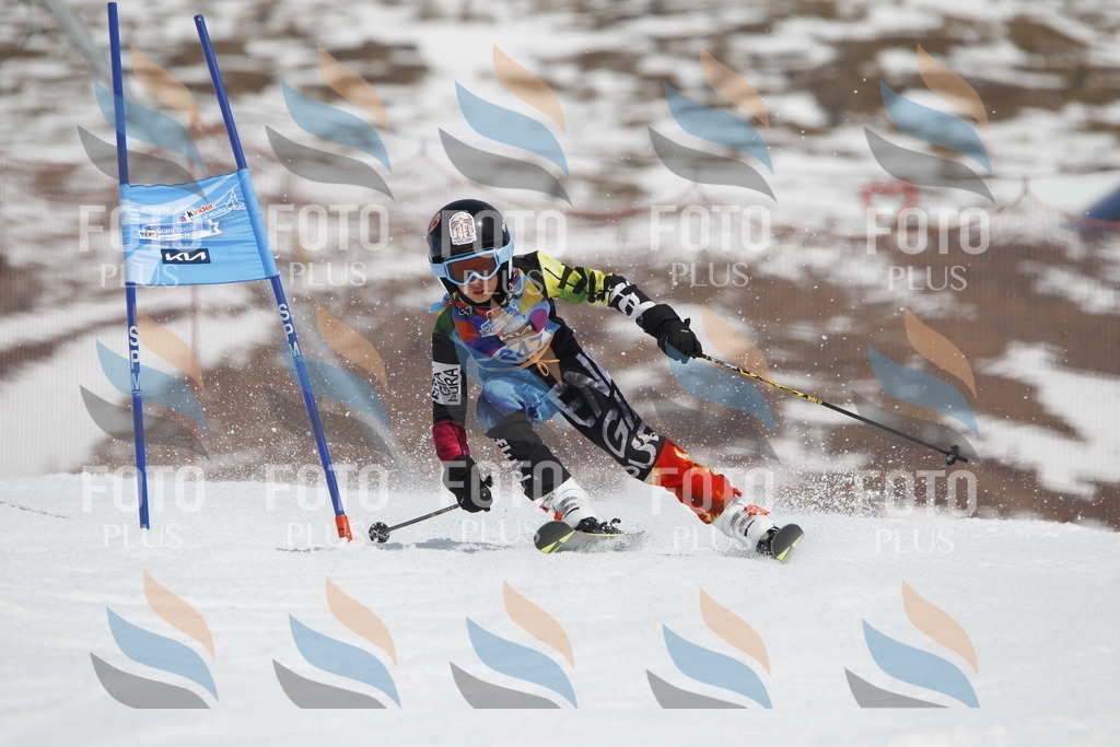 _U3G2824 | holidayphoto