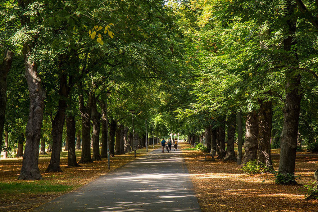 Grünau - Schönauer Allee | Entdecke über 20 Kategorien Leipzig-Motive: Foto-Downloads, hochwertige Poster, Leinwand- & Fine-Art-Prints. Jetzt Lieblingsfoto im Bildlexikon Leipzig Shop bestellen!
