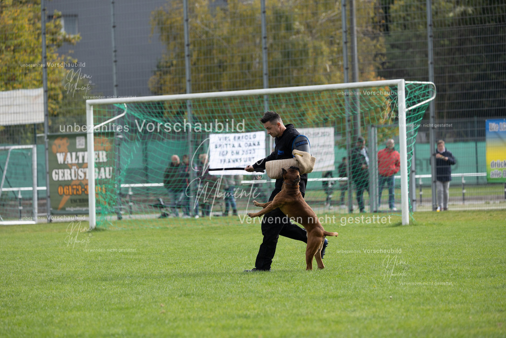 _16A7028 | Einzigartige Fotos von Hunden & Menschen –Actionfotos, Portraits, Vereinsaufnahmen & Paarshootings – authentisch, lebendig & mit Herz.