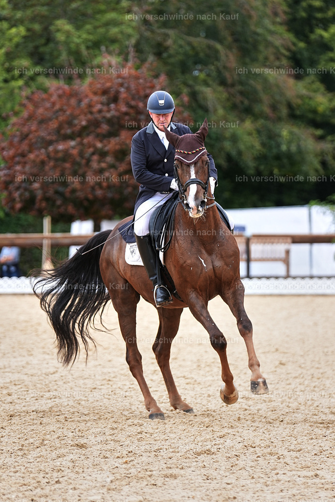 11-092-Dressur S___-Marixx-1614 | working equitationturnier fotograf videograf stoibphotography marixx film working equitation deutschland reitsport turnierfotografie eventfotografie equestrian events