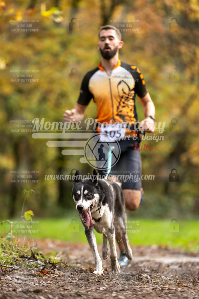 MompixPhotography_Bischwiller23_Canicross-56 | PayLife