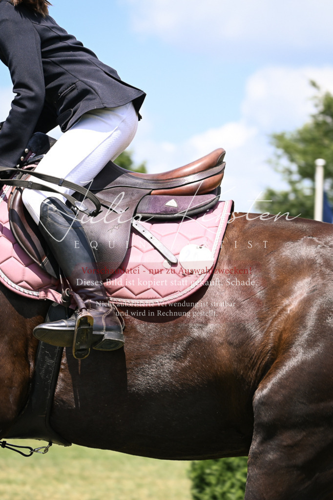 DSC_9367 | Pferde- und Turnierfotografie in Westsachsen. Pferdeportraits, Auftragszeichnungen und intuitive Kunst.