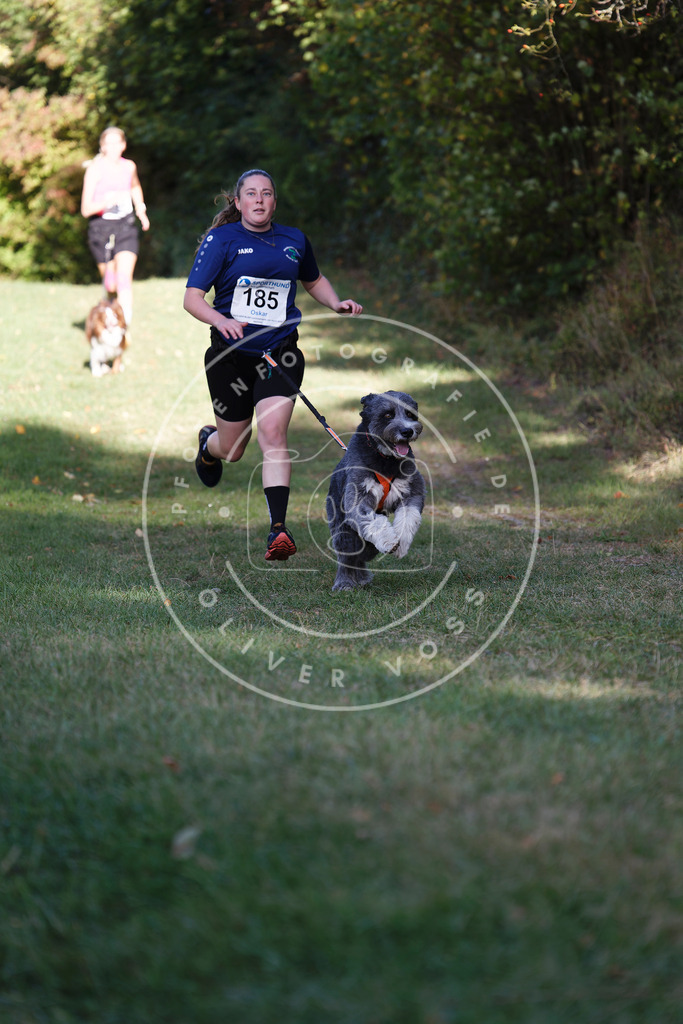 0L8A5530 | Hundefotografie, Tierfotograf, Pfotenfotografie, Fotoshooting Hund, Hunde Portrait, Hundesport, Hundeportraits, Heideshooting, Hunde, Sportfotograf, Hundefotograf, Turnierhundsport, THS,  - Realisiert mit Pictrs.com