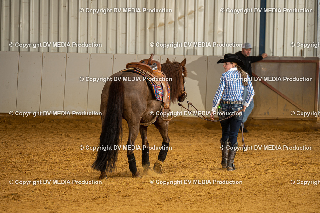 MIT00289 | dv-media-shop - Realisiert mit Pictrs.com