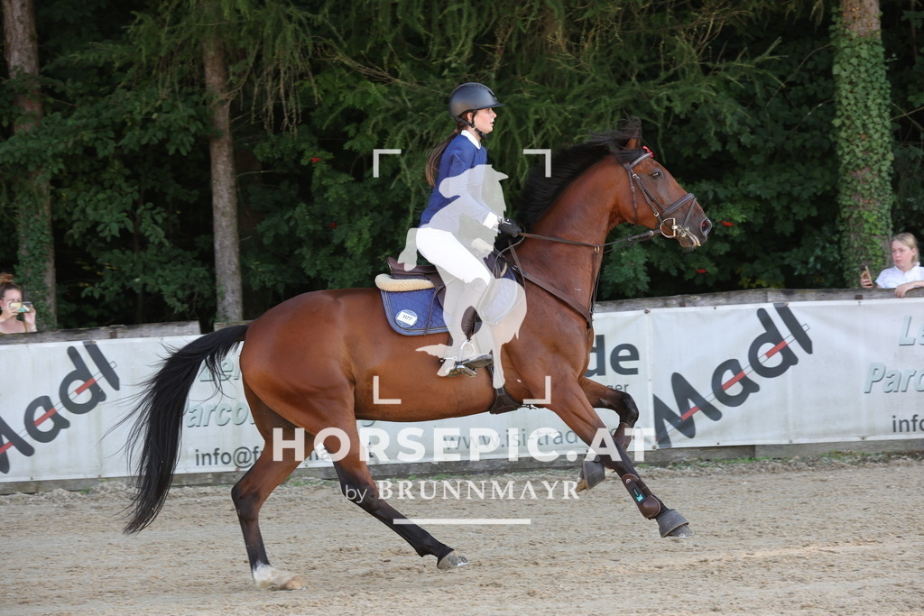 0P6A2188 | Willkommen bei Brunnmayr - Design & Fotografie – Ihrem Spezialisten für Reitturniere und Pferdeveranstaltungen in Oberösterreich, Salzburg und Bayern! Seit über 17 Jahren sind wir leidenschaftlich dabei.