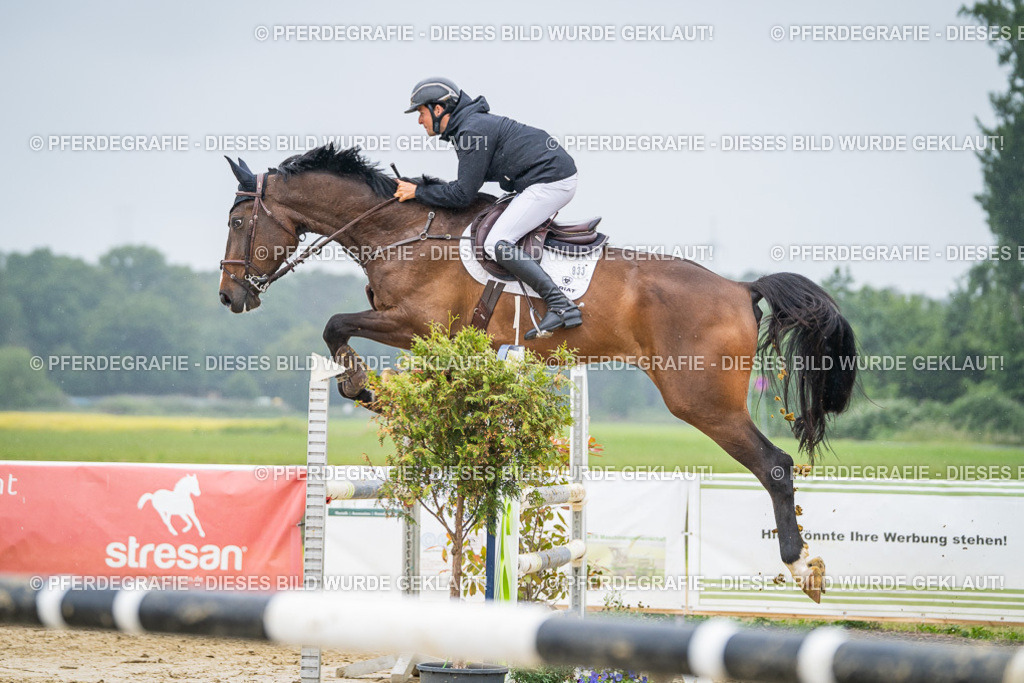 DSC02920 | Pferdegrafie