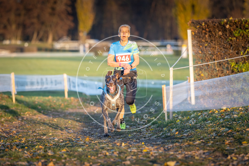 CaniXpix_DV3A5484 | Hundefotografie, Tierfotograf, Pfotenfotografie, Fotoshooting Hund, Hunde Portrait, Hundesport, Hundeportraits, Heideshooting, Hunde, Sportfotograf, Hundefotograf, Turnierhundsport, THS,  - Realisiert mit Pictrs.com