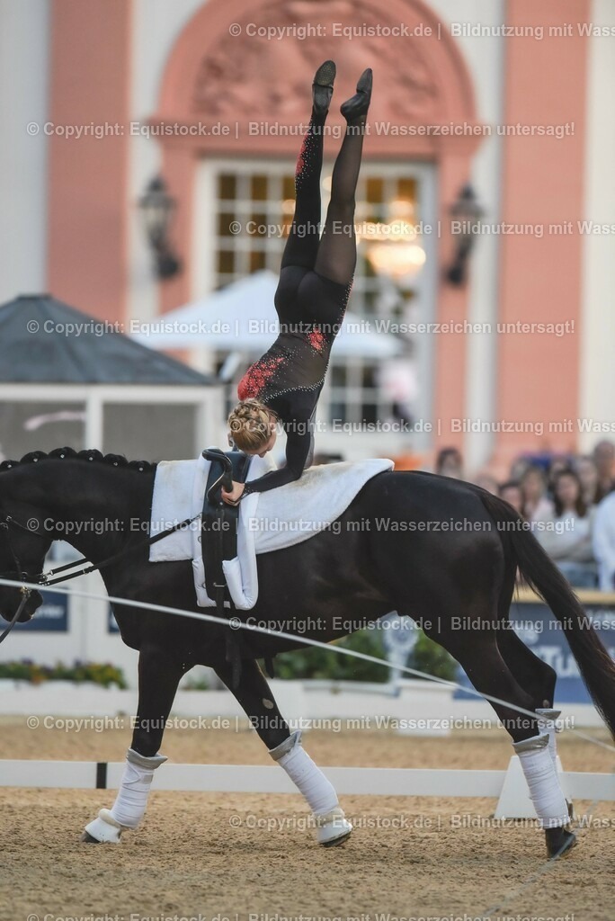 20230527_Voltigieren_NASPA_Flutlicht_0235 | equistock