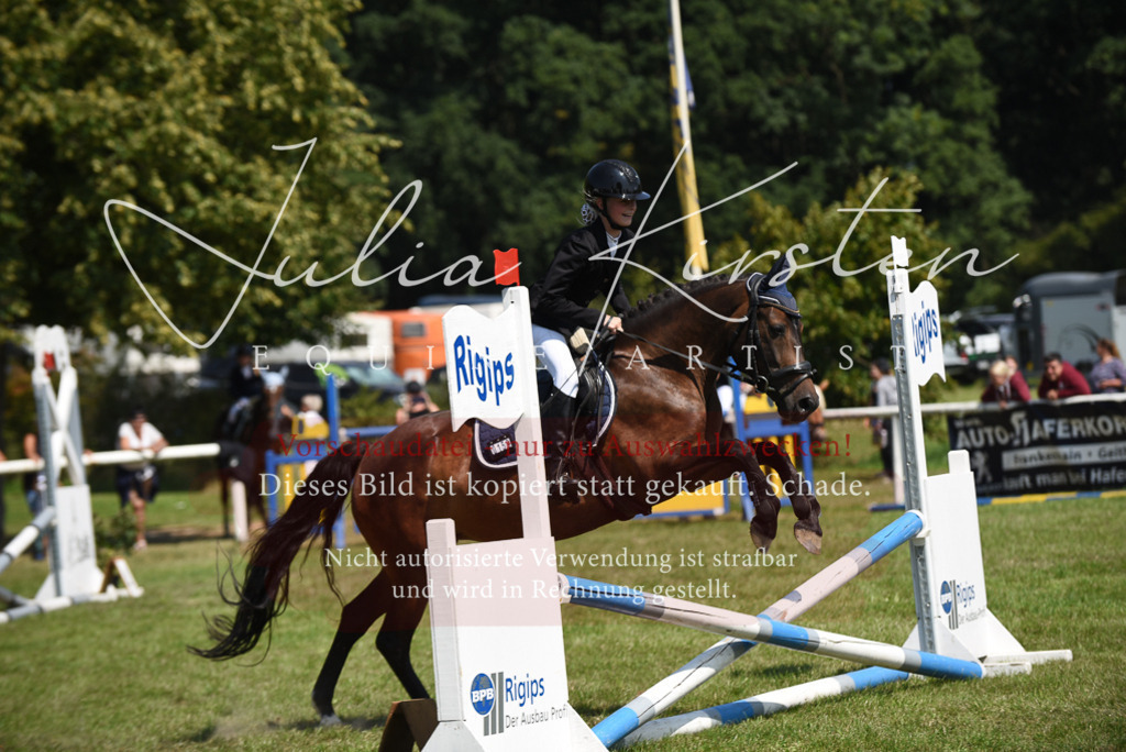 DSC_9928 | Pferde- und Turnierfotografie in Westsachsen. Pferdeportraits, Auftragszeichnungen und intuitive Kunst.