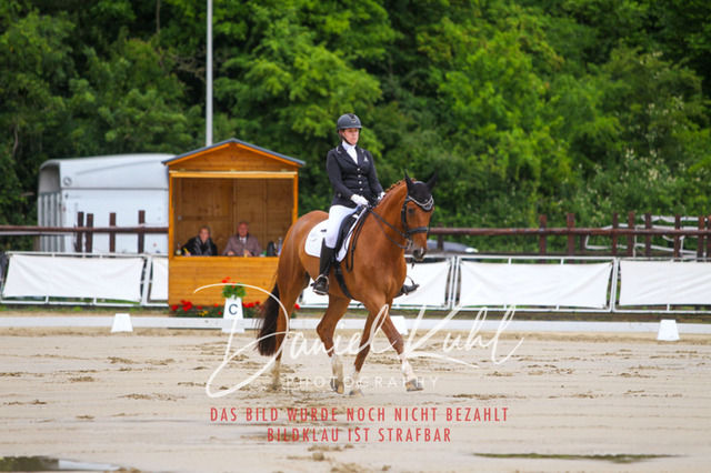 DKP46640 | Turniersportfotografie; Pferdefotografie; Dressurfotografie