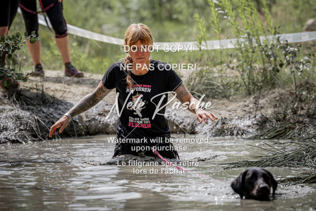 nelerasche_so1145-1230_148 | nelerasche