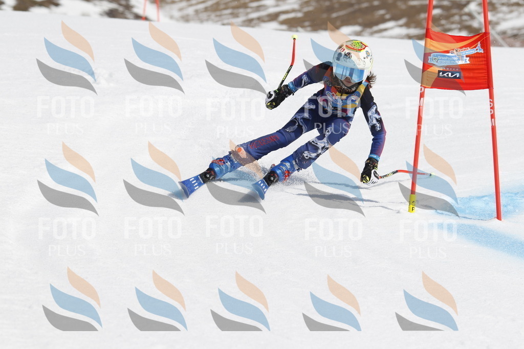 _U3G1423 | holidayphoto