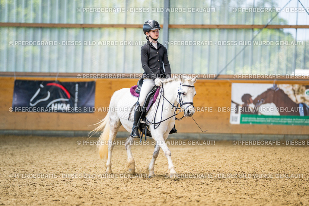 DSC02678 | Pferdegrafie