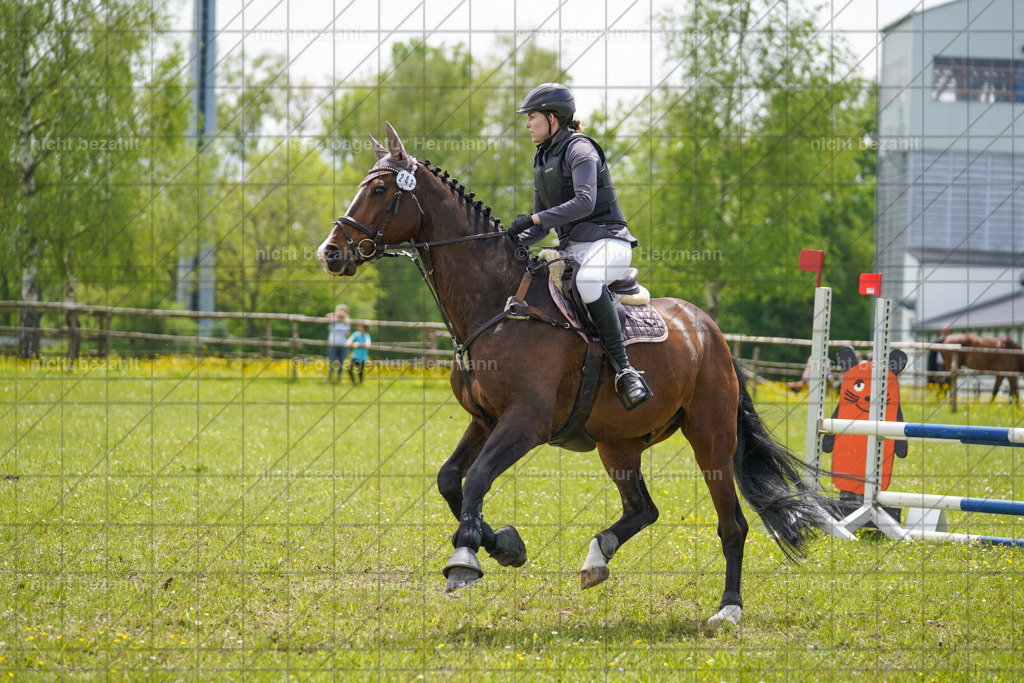 20230521-FAH06299 | Frühjahrsturnier, Landsberg am Lech, 2023, Reitclub Landsberg, Turnierbilder, Fotos Turnier Landsberg, Fotoagentur Herrmann, Turnierfotografen Bayern, Reitsport Fotograf, Pferde Fotograf