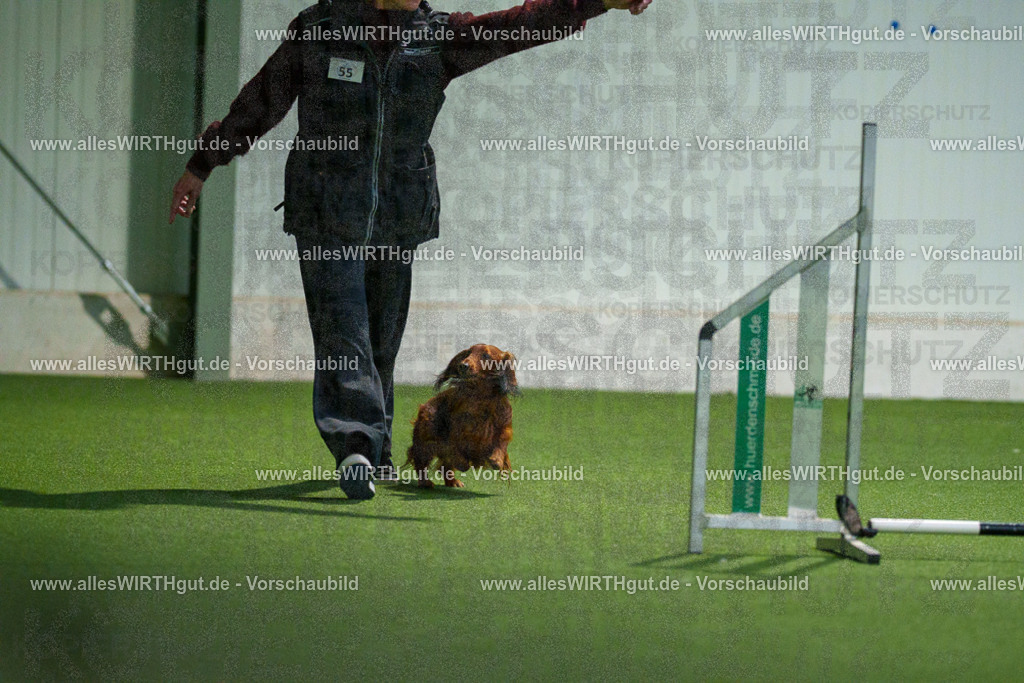 7R506889 | Professionelle Tierfotografie in Mönchengladbach von Daniel Wirth (allesWIRTHgut). Liebevolle & natürliche Bilder von Hunden & Katzen für unvergessliche Erinnerungen.