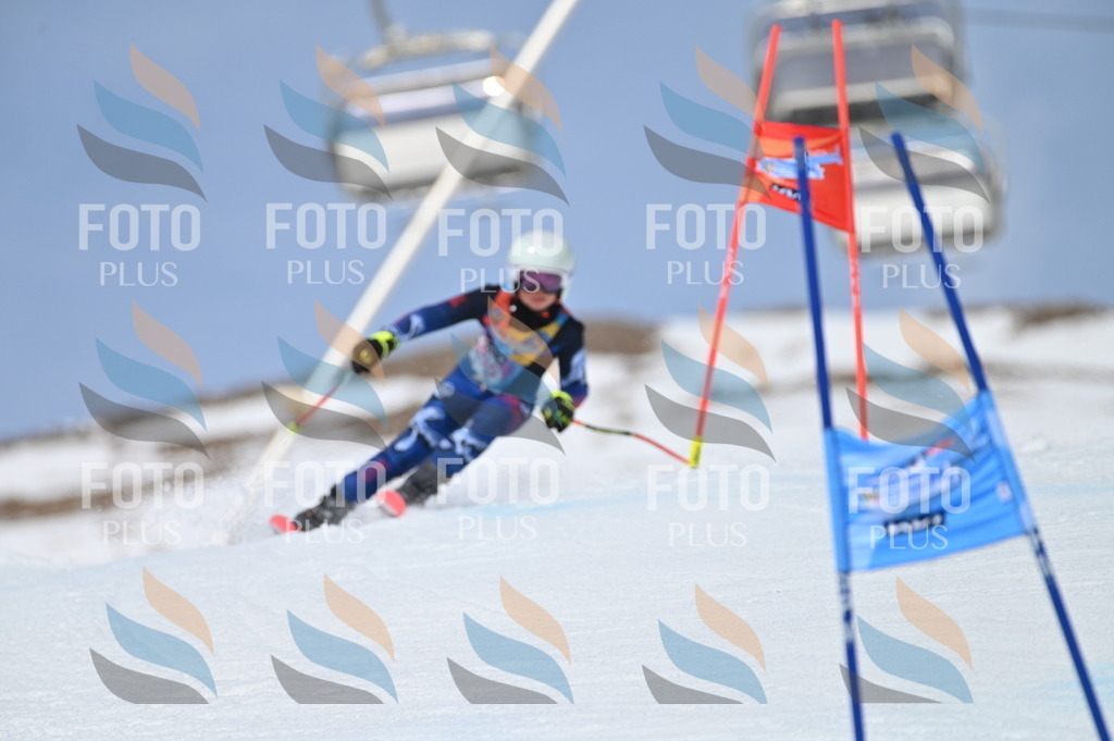 BGV_4255 | holidayphoto