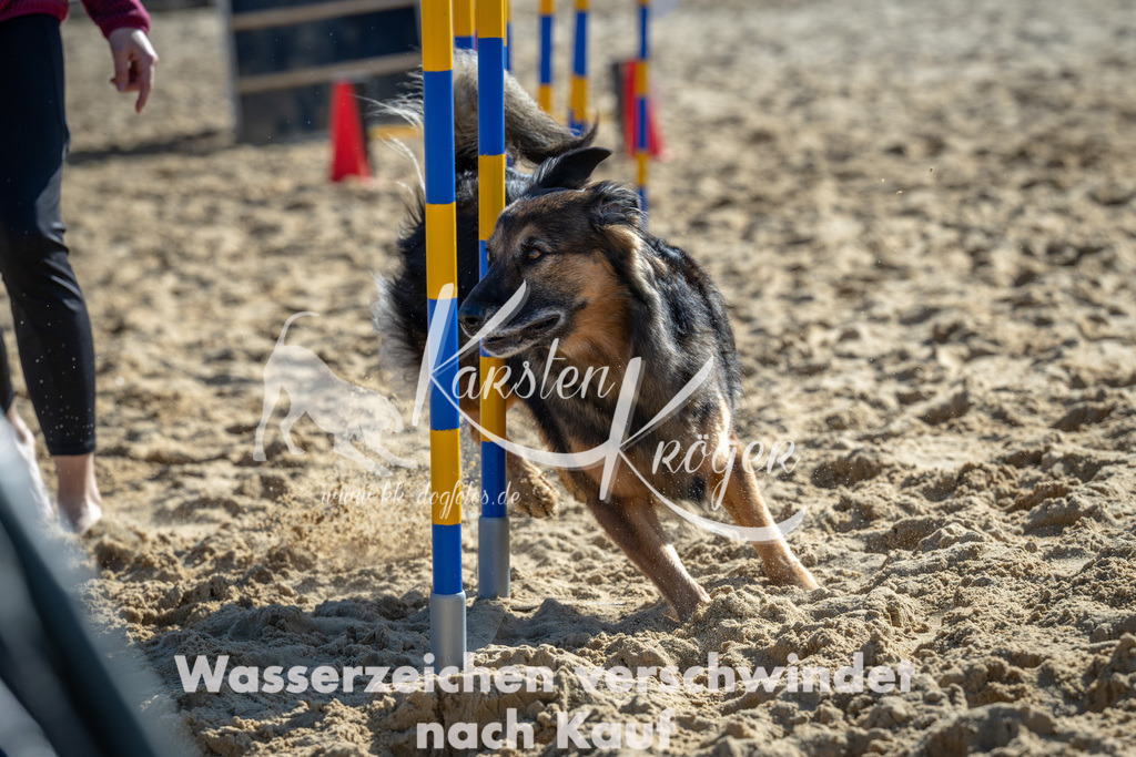 1155_ZZ92434-2 | kk-dogfotos