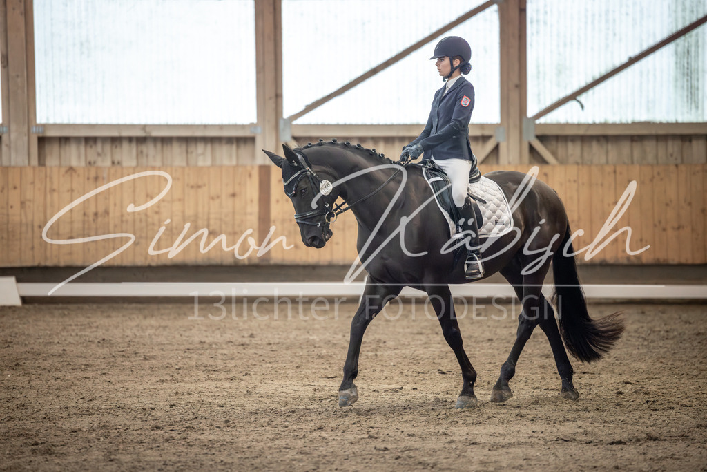 20251011-_3LI6398 | Tierfotografie Pferde, Hunde, Katzen, Haustiere.
Turnierfotografie Reitturniere, Reiten, Springreiten, Dressur in Hanau, dem Main-Kinzig-Kreis und dem Rhein-Main- Gebiet um Frankfurt