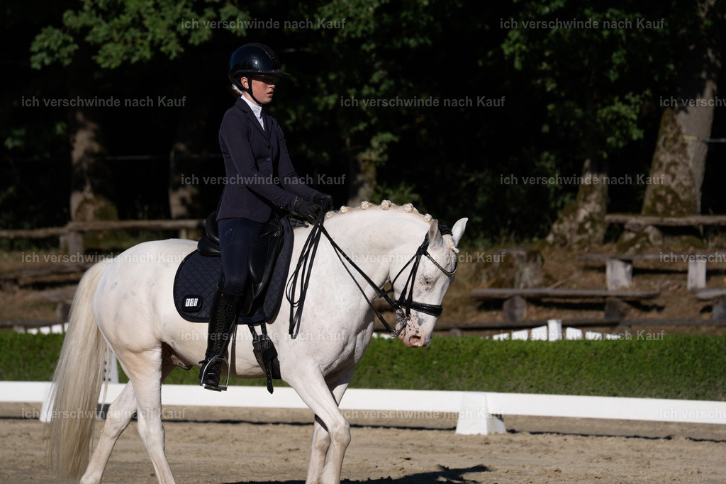 WM_DR_101_sinafilmart_IN04638 | working equitationturnier fotograf videograf stoibphotography marixx film working equitation deutschland reitsport turnierfotografie eventfotografie equestrian events