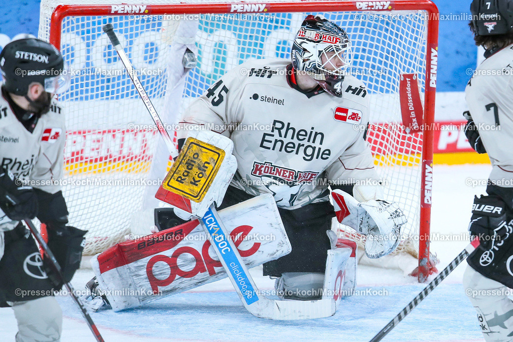 DueDEL25022401100 | 25.02.2024, Düsseldorf, Eishockey, Penny DEL, 49. Spieltag, PSD-BANK Dome, Düsseldorfer EG - Kölner Haie: Torhüter Tobias Ancicka (Kölner Haie)