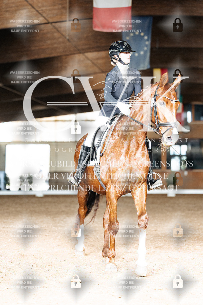 CK902461 | Turnierfotografie Pferdefotografie Trier Rheinland-Pfalz Pferdesport Reitsport Tierfotografie Sportfotografie Pferdevideo Pferdevideografie Equestrianvideography equestrianphotography  - Realisiert mit Pictrs.com