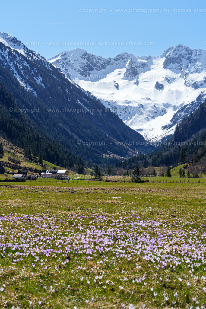  Stilluptal Frühling copyright  Thomas Pfister-9 | PHOTOGRAPHY BY THOMAS PFISTER
