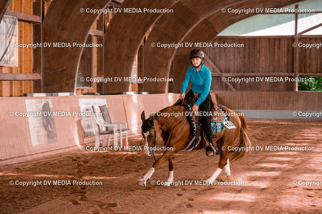 NE201100 | dv-media-shop - Realisiert mit Pictrs.com