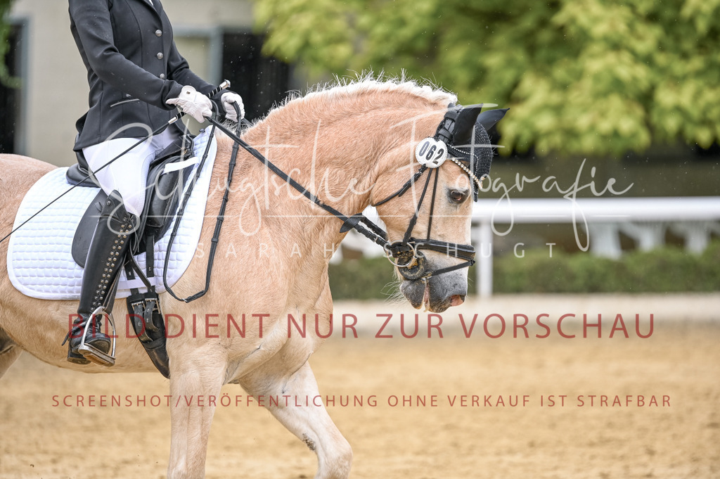 Schugtsche-Aluta25-41.Amat-Dressurprf.A_-522 | Schugtsche Fotografie - Realisiert mit Pictrs.com