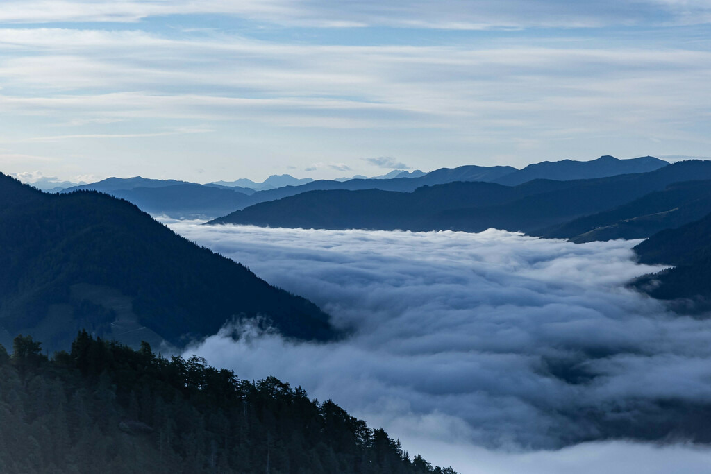 _W5A6794 | Sich an die einzigartigen Momente der Natur und Landschaft sowie die Begegnung mit heimischen wilden Tieren zu erinnern, dies kann man anhand den Bilder der Natur und Landschaftsfotografin Sandra Eimermacher.  - Realisiert mit Pictrs.com