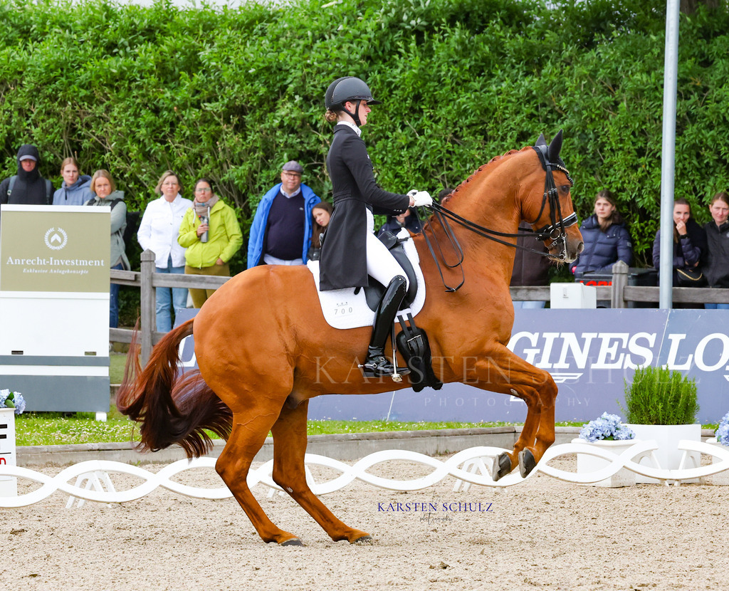 1B3A8508 | Reitsport Reiten