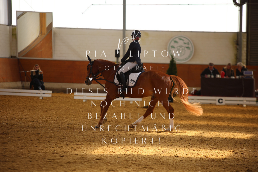 IMGT4218 | pl-fotografie