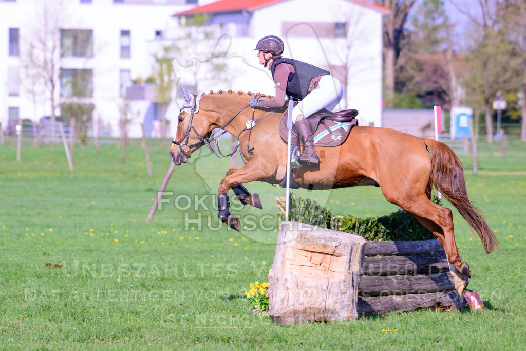 18042026-Gernlinden-02-0539 | Fokus Hufschlag Fotografie - Realisiert mit Pictrs.com