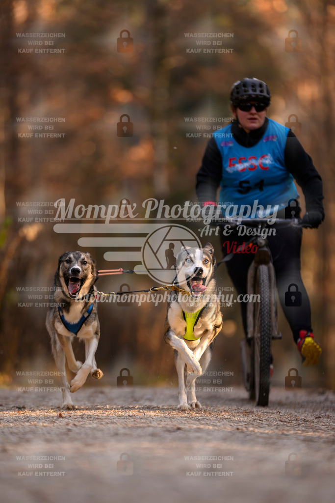 MompixPhotography_DM_AKDM_SO_2025_Scooter-36 | PayLife