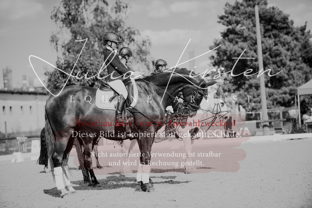 DSC_0171 | Pferde- und Turnierfotografie in Westsachsen. Pferdeportraits, Auftragszeichnungen und intuitive Kunst.