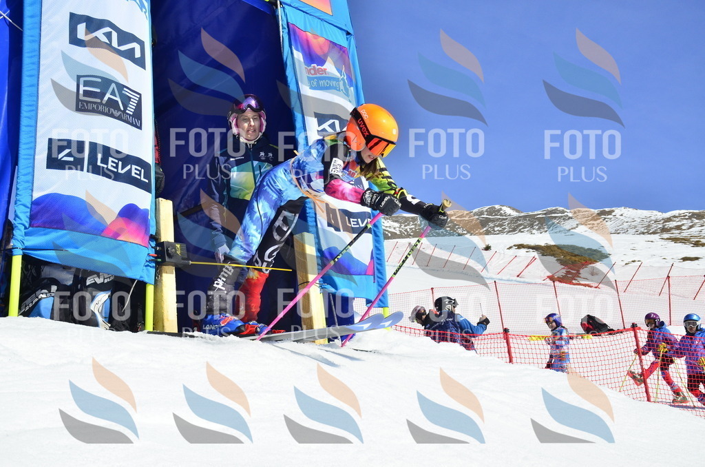 _ELE9962 | holidayphoto