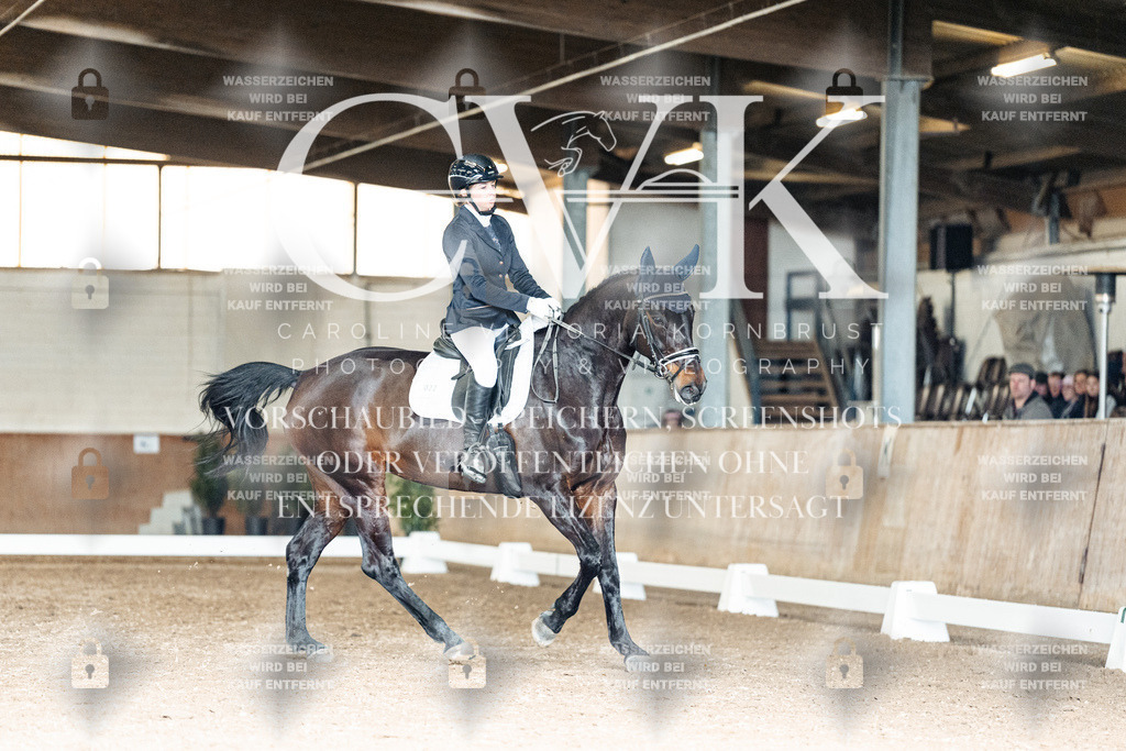 CK902357 | Turnierfotografie Pferdefotografie Trier Rheinland-Pfalz Pferdesport Reitsport Tierfotografie Sportfotografie Pferdevideo Pferdevideografie Equestrianvideography equestrianphotography  - Realisiert mit Pictrs.com