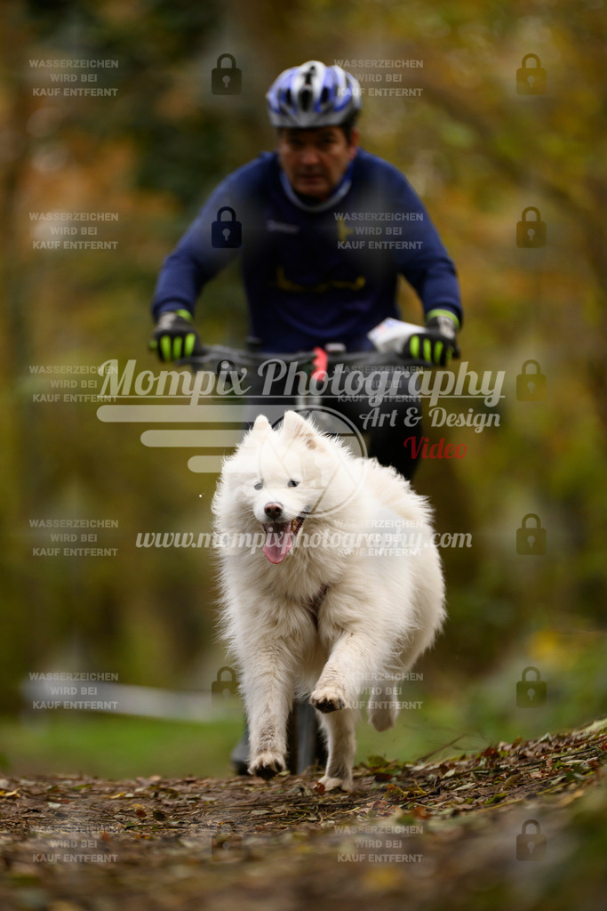 MompixPhotography_Bischwiller24_SA_VTT-95 | PayLife