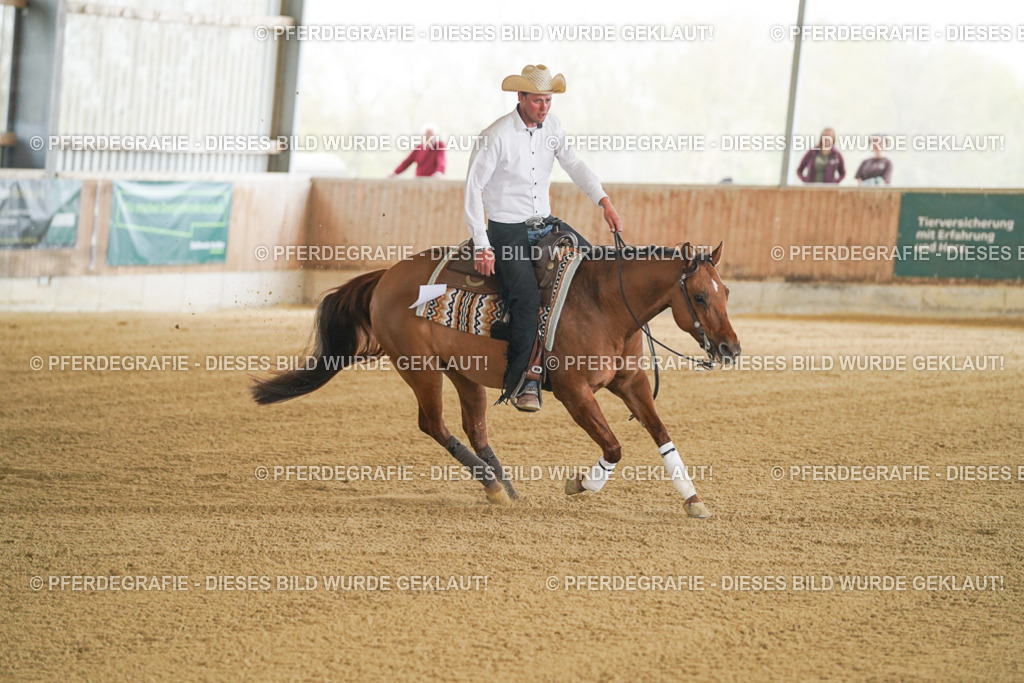 DSC06851 | Pferdegrafie