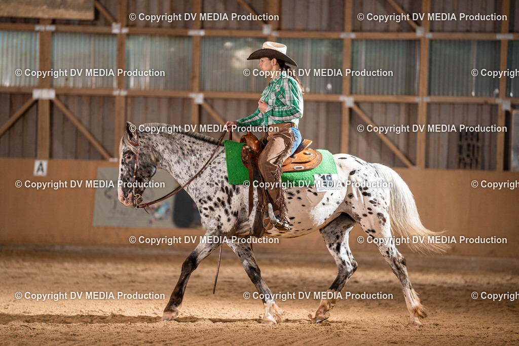 Losheim Tag 1-95 | dv-media-shop - Realisiert mit Pictrs.com