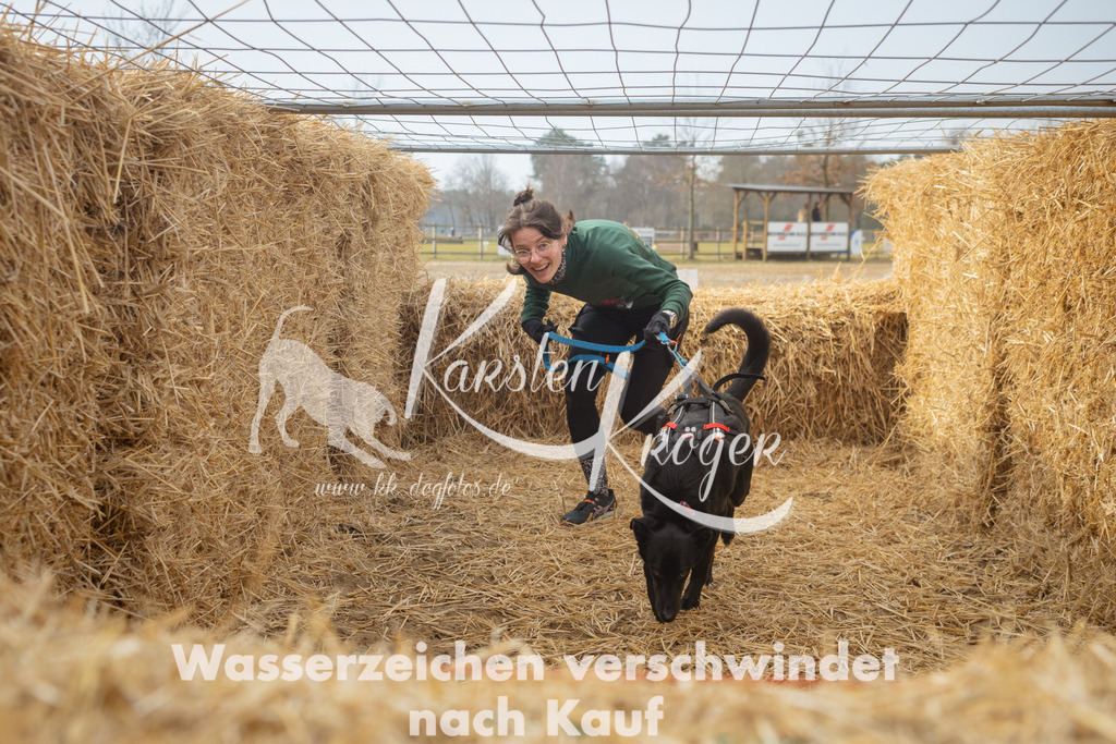 1019_ZZ93949 | kk-dogfotos