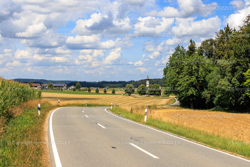 _J3A8361 | medienkrizzler - Realisiert mit Pictrs.com