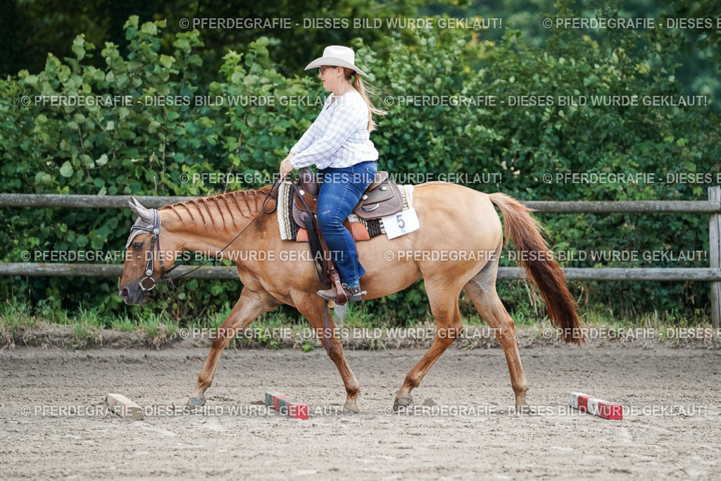 DSC05944 | Pferdegrafie