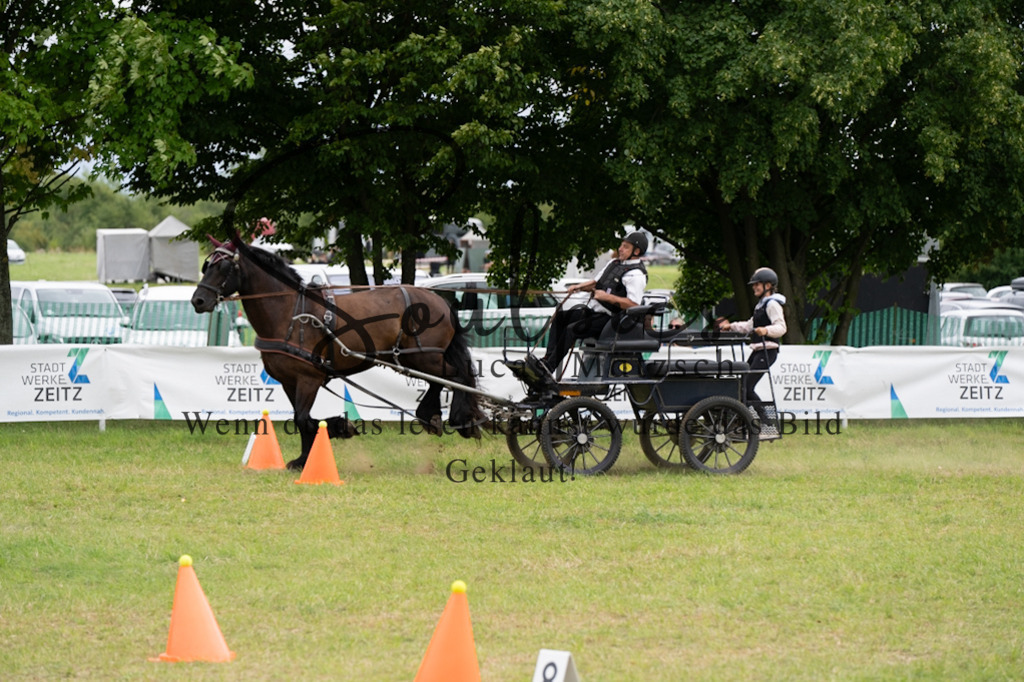 A7V06132 | Pferdefotograf