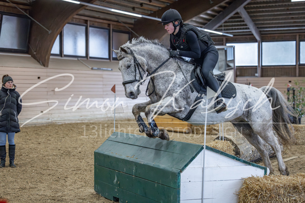 20260221-_3LI9717 | Tierfotografie Pferde, Hunde, Katzen, Haustiere.
Turnierfotografie Reitturniere, Reiten, Springreiten, Dressur in Hanau, dem Main-Kinzig-Kreis und dem Rhein-Main- Gebiet um Frankfurt