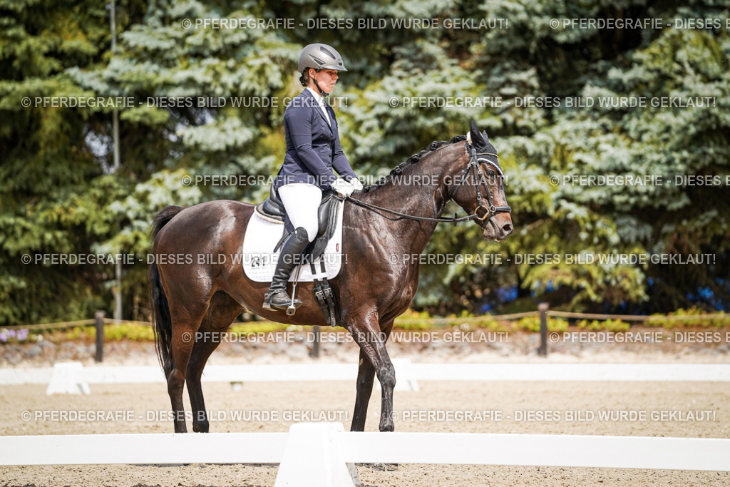 DSC03005 | Pferdegrafie