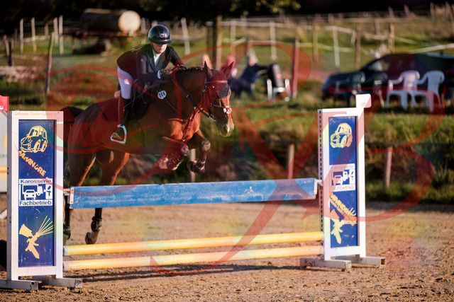 2026_10_03_Siefer-Hof_170922_Z81_06297768 | Professionelle Reitsport-, Turnier- und Eventfotografie von Robert Broda. Galerien mit ausgewählten und bearbeiteten Bildern direkt online ansehen und bestellen.