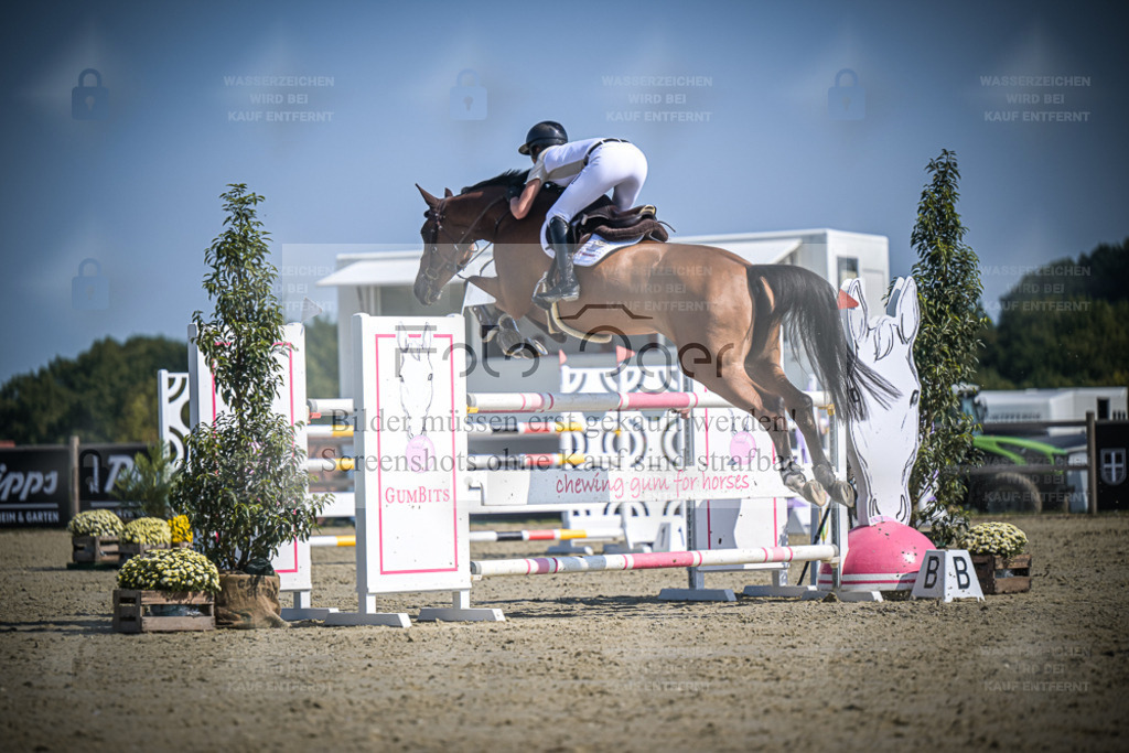 DOS_2725 | Entdecke hochwertige Reitturnierfotos von Foto Oger. Professionell, emotional und authentisch – jetzt Lieblingsmomente im Shop bestellen. - Realisiert mit Pictrs.com