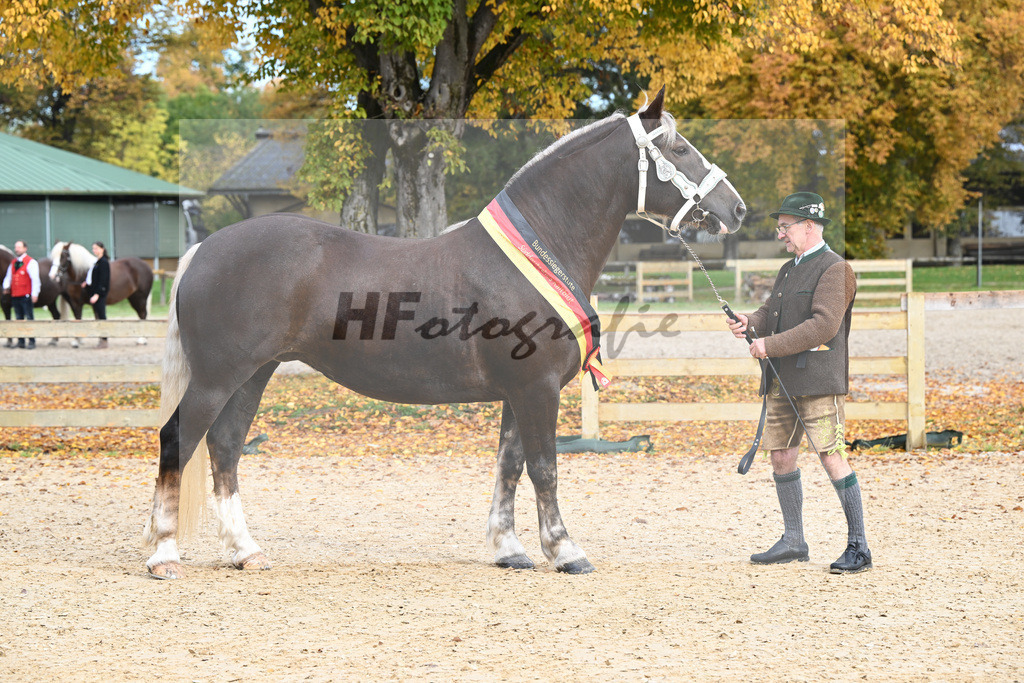 Kat-Nr. 43 Oxana_Steinle_53223046 | hf-fotografie - Realisiert mit Pictrs.com