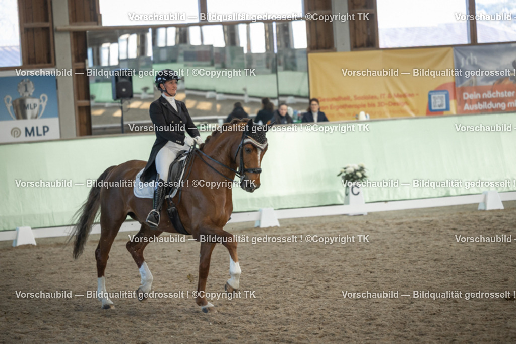 _D5A0828 | Emotionale Pferde- & People-Fotografie rund um Heidelberg, Leimen & Umgebung. Natürliche Fotos von Pferd, Mensch & Familie. Jetzt Termin sichern!